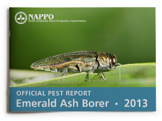 Emerald Ash Borer